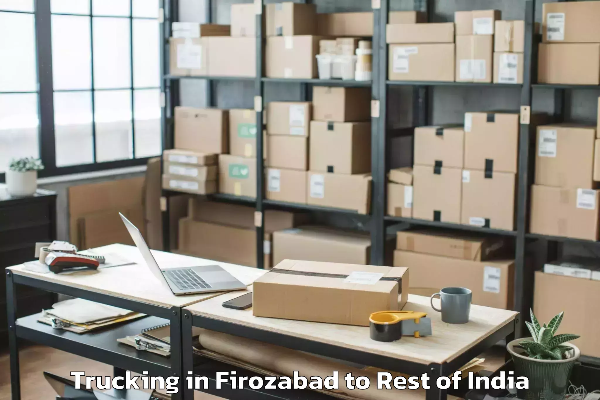 Affordable Firozabad to Zero Airport Zer Trucking